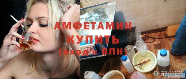 прущие грибы Бородино