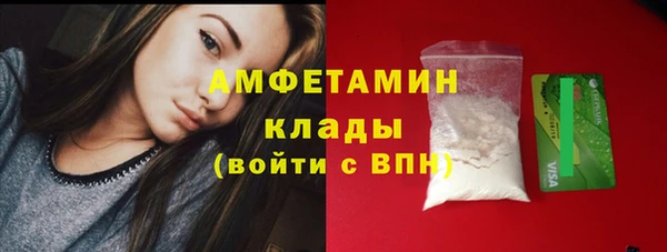 прущие грибы Бородино