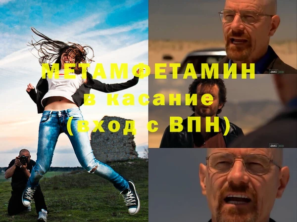 прущие грибы Бородино