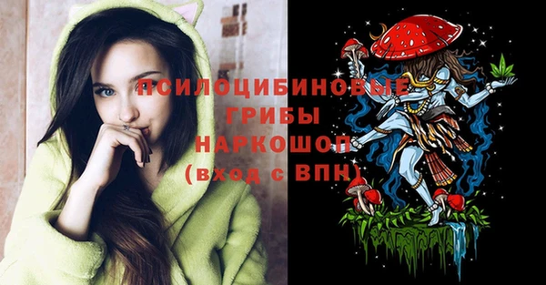прущие грибы Бородино