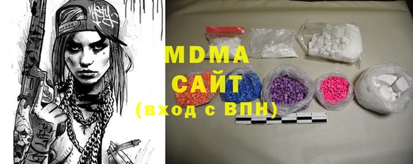 прущие грибы Бородино