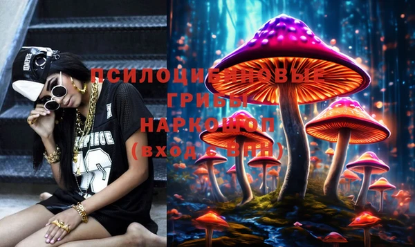 прущие грибы Бородино