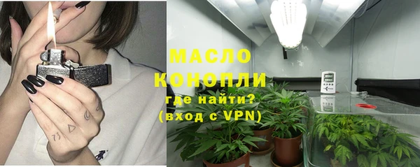 прущие грибы Бородино