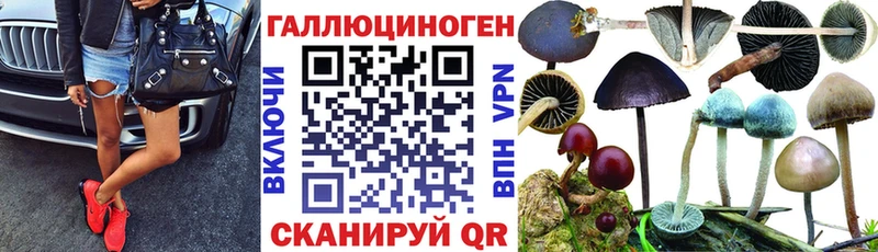 Купить закладки  Опочка  Псилоцибиновые грибы GOLDEN TEACHER 