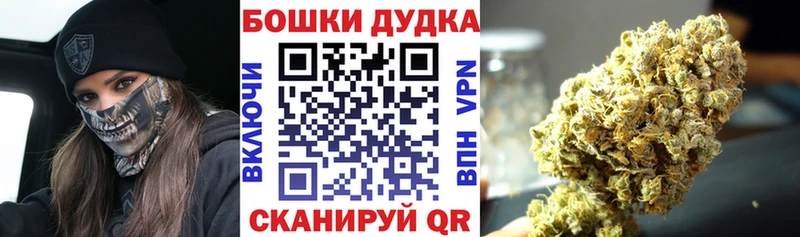 Бошки марихуана сатива  Купить  Опочка 